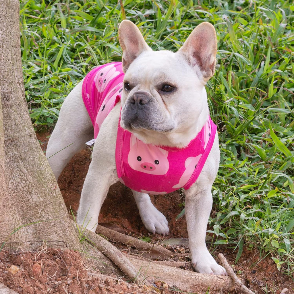 CuteBone Dog Shirts 2-Pack Soft Pet Clothes Breathable Summer Vest for Small Puppy and Stretchy Cat Apparel