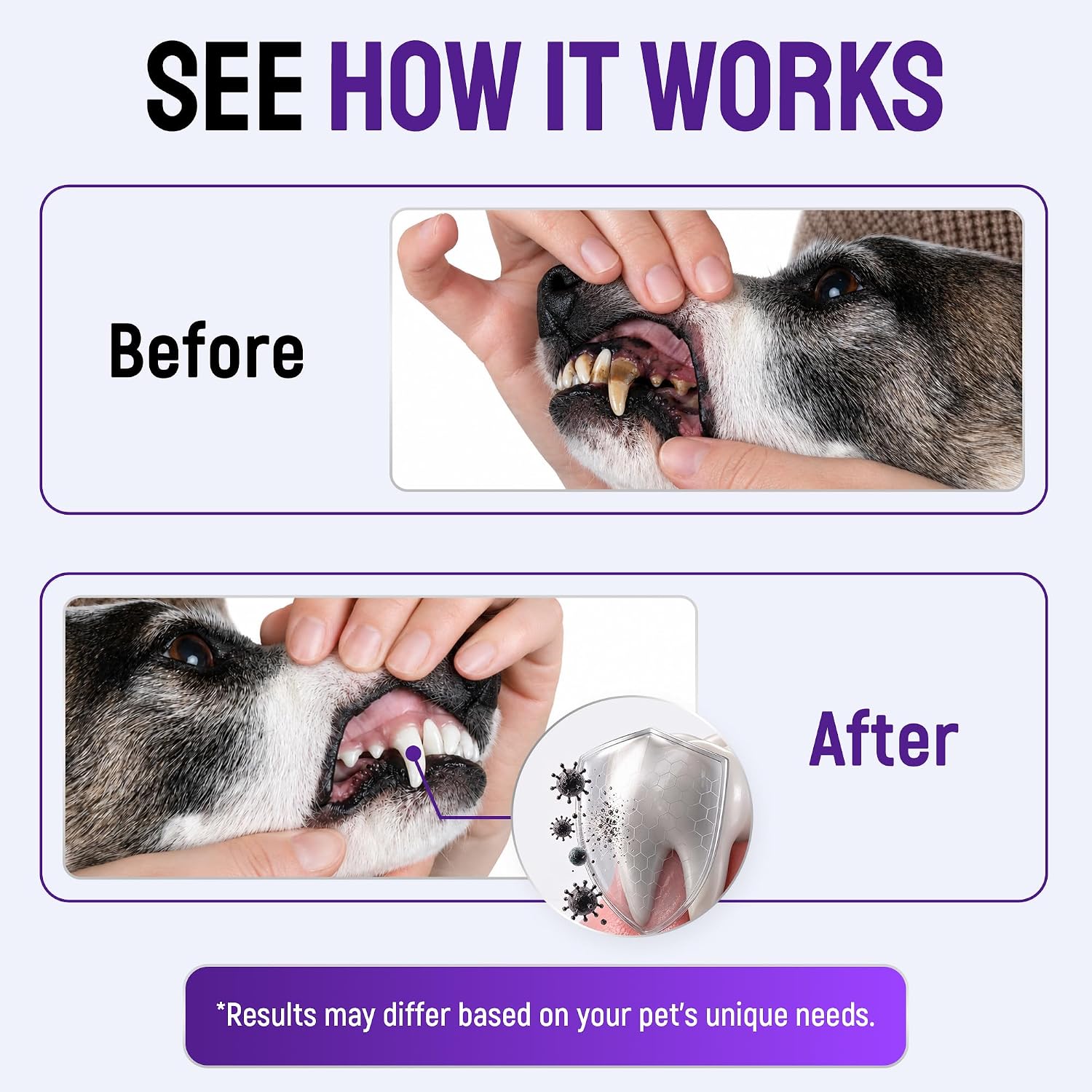 SILVER GRADE Teeth & Gum Cat & Dog Breath Freshener Spray – No Brushing Dog Dental Care Helps with Tartar & Caries – Pet Plaque Remover with Silver 25 PPM – Gentle Formula for Healthy Gums – 4 oz
