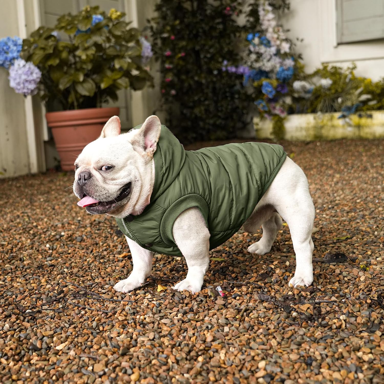 Vecomfy Warm Dog Coats with Hoodie,Winter Dog Jackets for Large Dogs