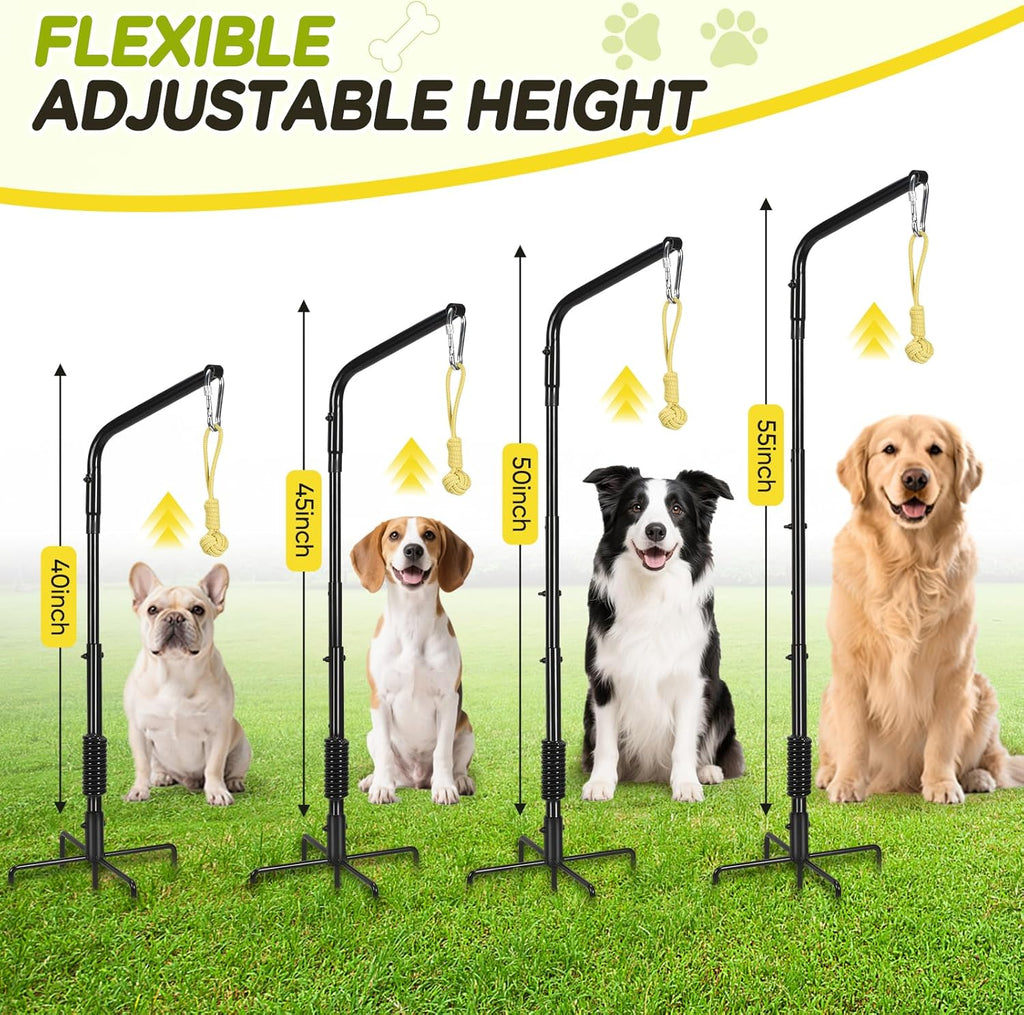 AugFir Tether Outdoor Dog Rope Toy with Strengthen Spring Pole, 3 Kinds Dog Tug of War Toys for Self Play and Interactive in Park, Yard, Lawn Rope, Suitable for Large Medium Small Dogs (Black)
