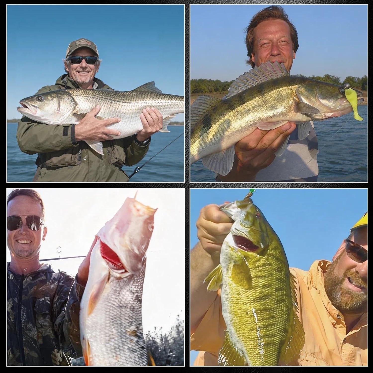 FishTrip 50/100pcs Octopus Baitholder Hooks, Circle Hooks for Freshwater