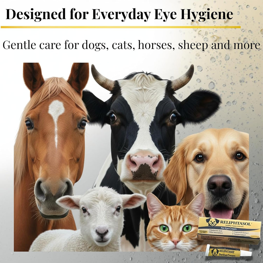 Pet Eye Cream – Vet-Formulated Dog Eye Infection Treatment, Pink Eye Relief, Conjunctivitis Relief, Dry Eyes &amp; Red Eye, Tear Stain Remover for Dogs, Cats, Cattle, Sheep, Horses – 1 Tube