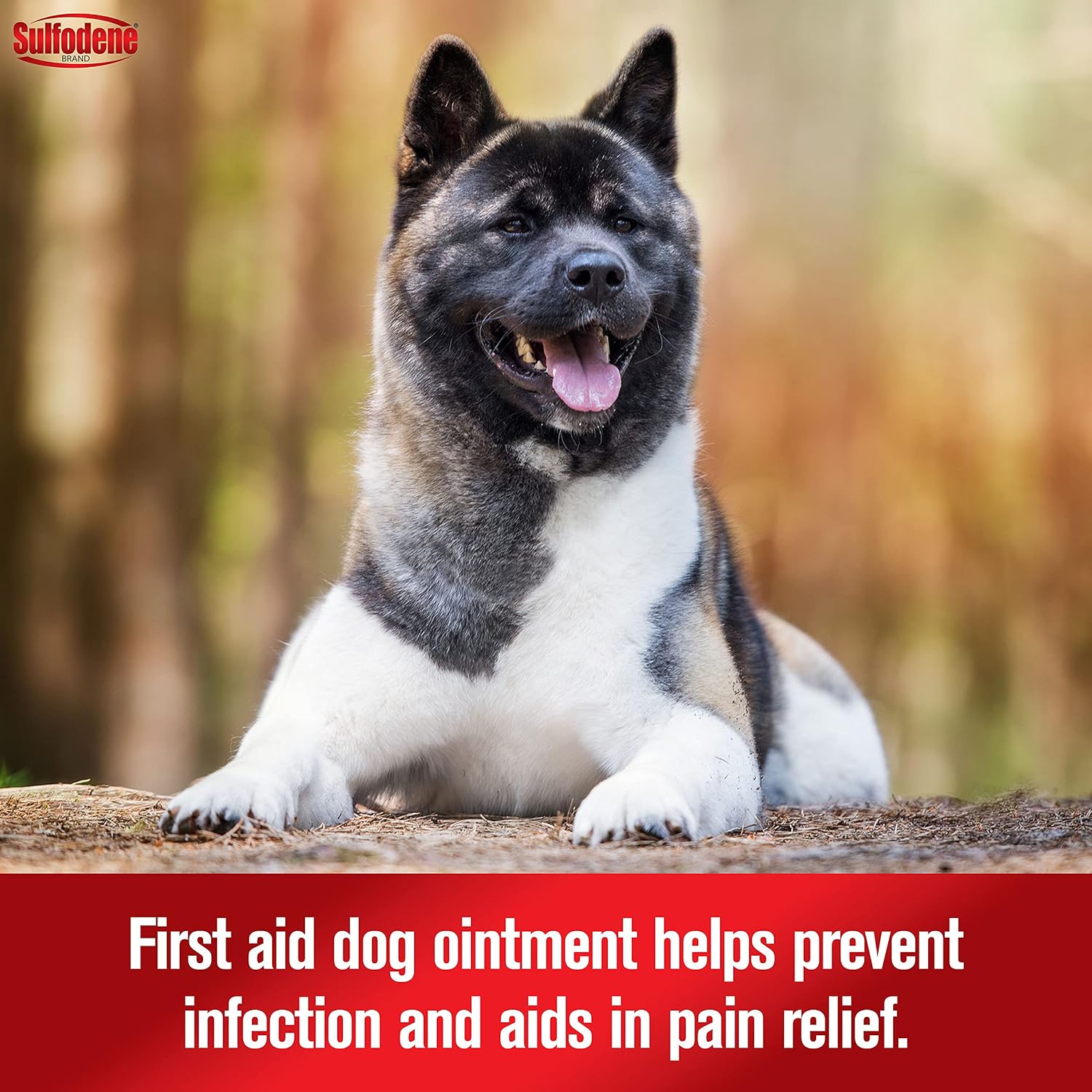 Sulfodene Wound Care 3-Way Ointment for Dogs & Puppies, Soothes Cuts, Scrapes, Skin Irritation, and Redness, First Aid Relief that Supports Skin Healing and Comfort, 2 oz