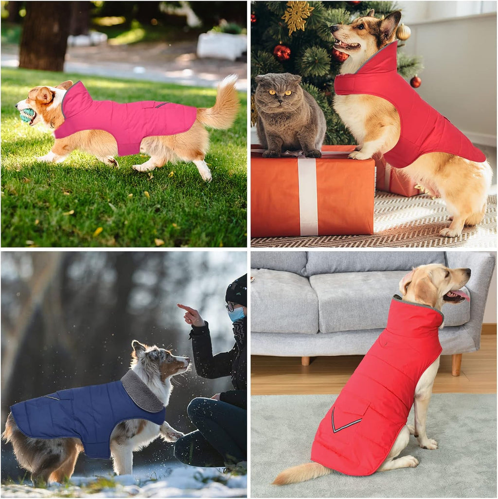 Petglad Dog Coat, Waterproof Dog Winter Jacket with Pocket, Reflective Adjustable Pet Snow Vest, Warm Cozy Fleece Sweater for Small Medium Extra Large Dogs - Blue, S