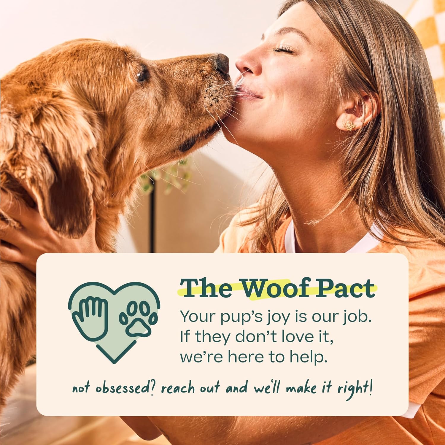 Woof Doggy Dental Pupsicle Mix - Dog Teeth Cleaning Powder for the Pupsicle - Long Lasting Postbiotic Dental Enzyme Mix to Support Oral Health for Dogs