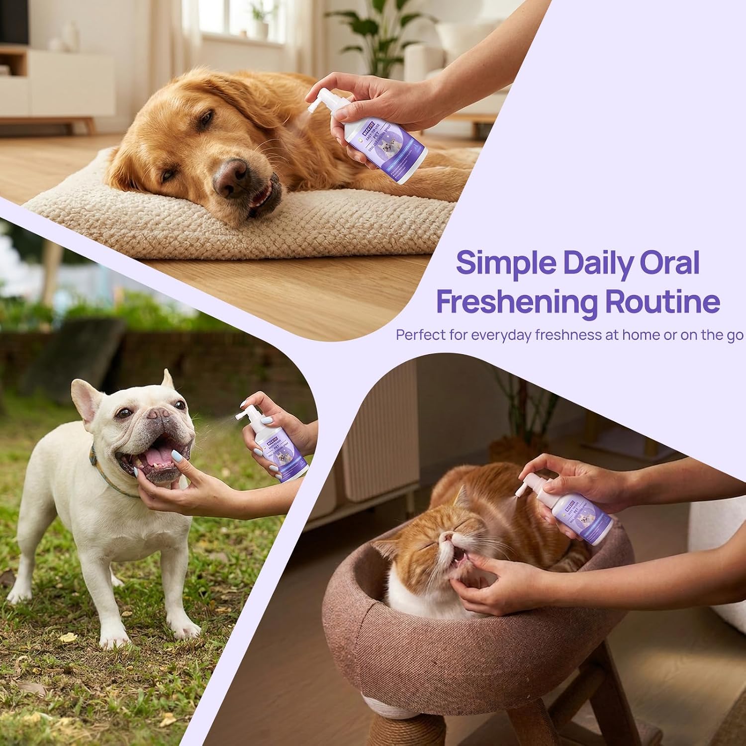 HICC PET Dog Mouth Cleaning Spray, Helps Freshen Breath, 5.1 Fl Oz