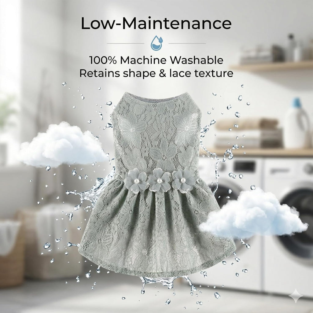 Fancy Cute Small Dog Dress for Girl - Elegant Lace Pet Dress with Floral Accents Puppy Apparel (Gray, M)