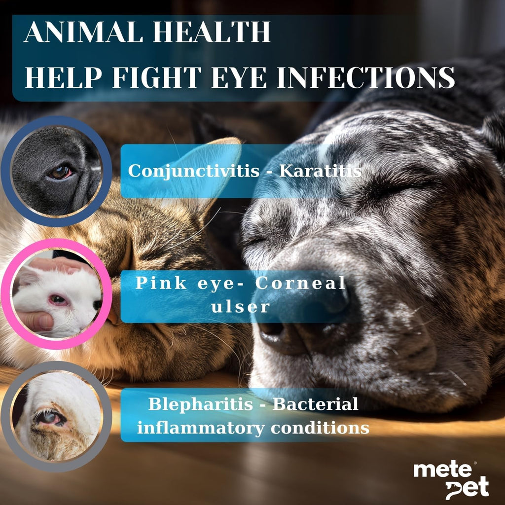 Vetromycin Pet Eye Ointment for Dogs and Cats 1/8 oz /5gr, 1 Tube - Gentle Daily Eye Care, Easy Topical Application