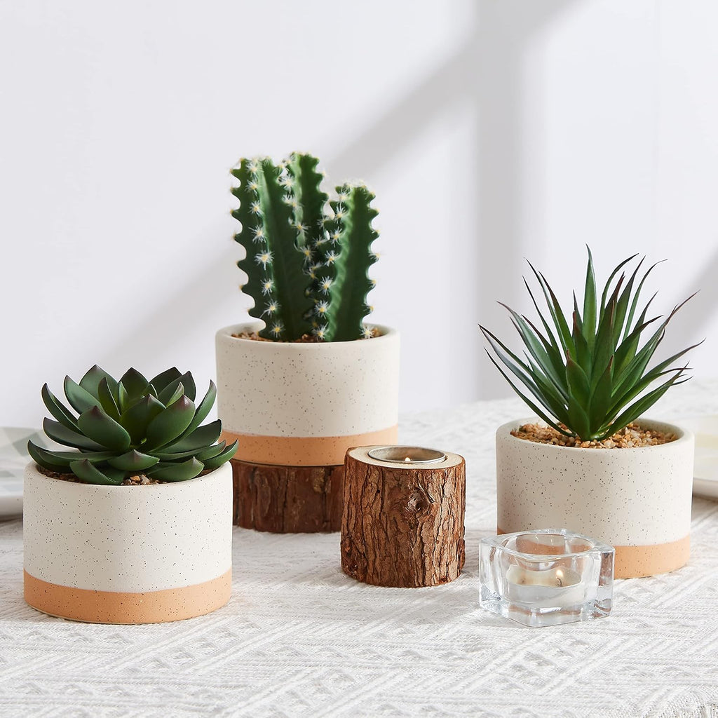 Artificial Succulent Plants in Ceramic Pots Set of 3