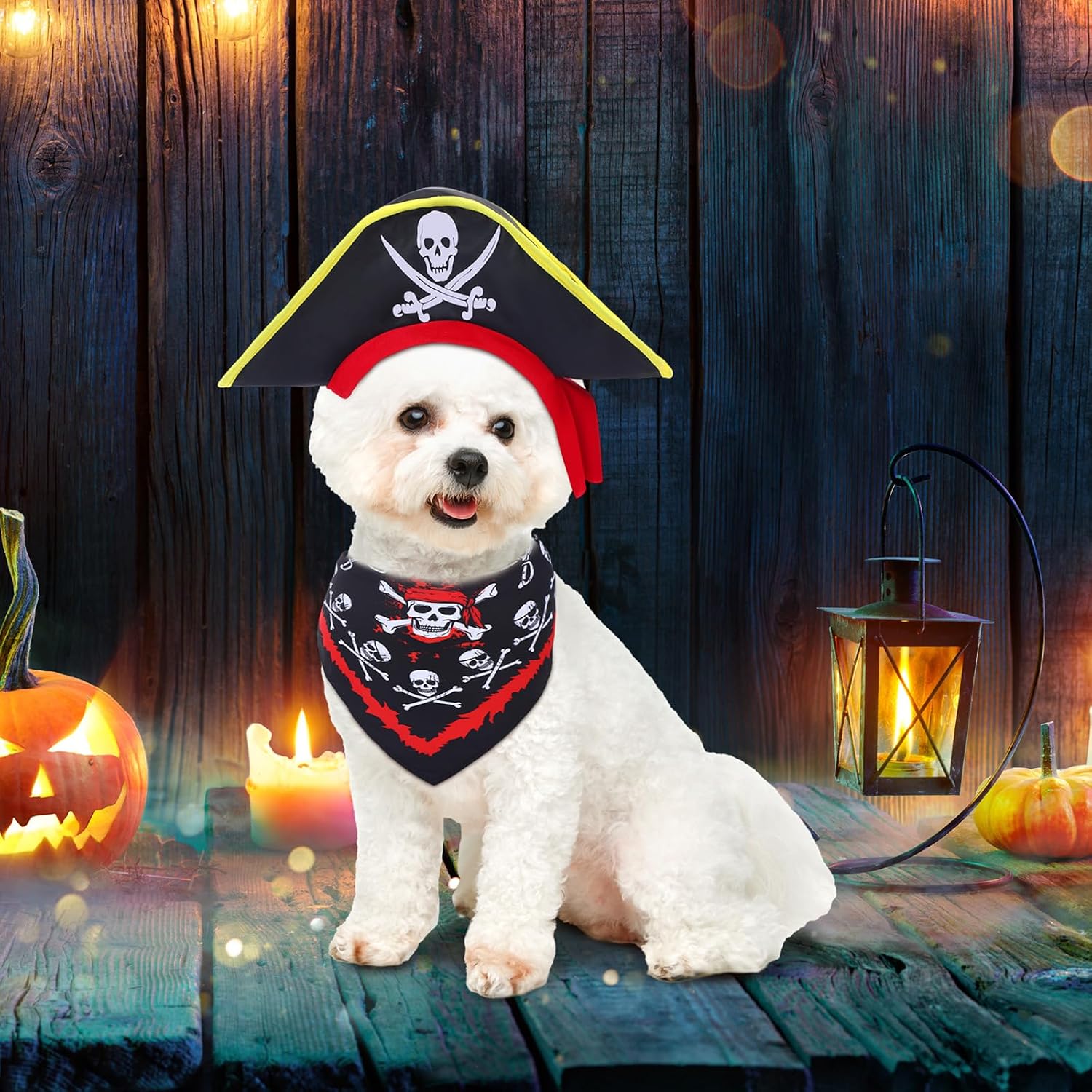 Eccliy 4 Sets Dog Costume Hat Bandana Pirate Cowboy Sombrero Tuxedo