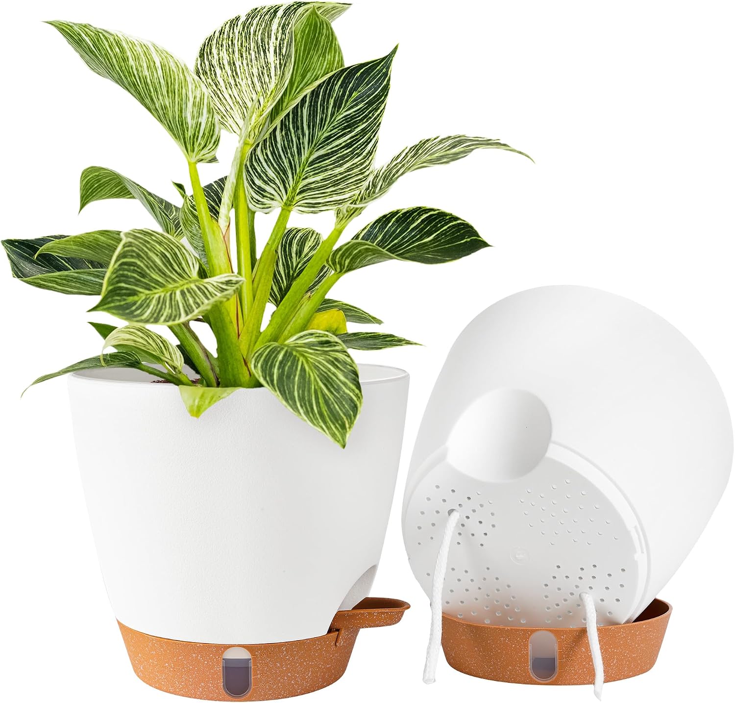 2 Pack 8 Inch Pots for Plants Indoor, Plastic Self Watering Planters