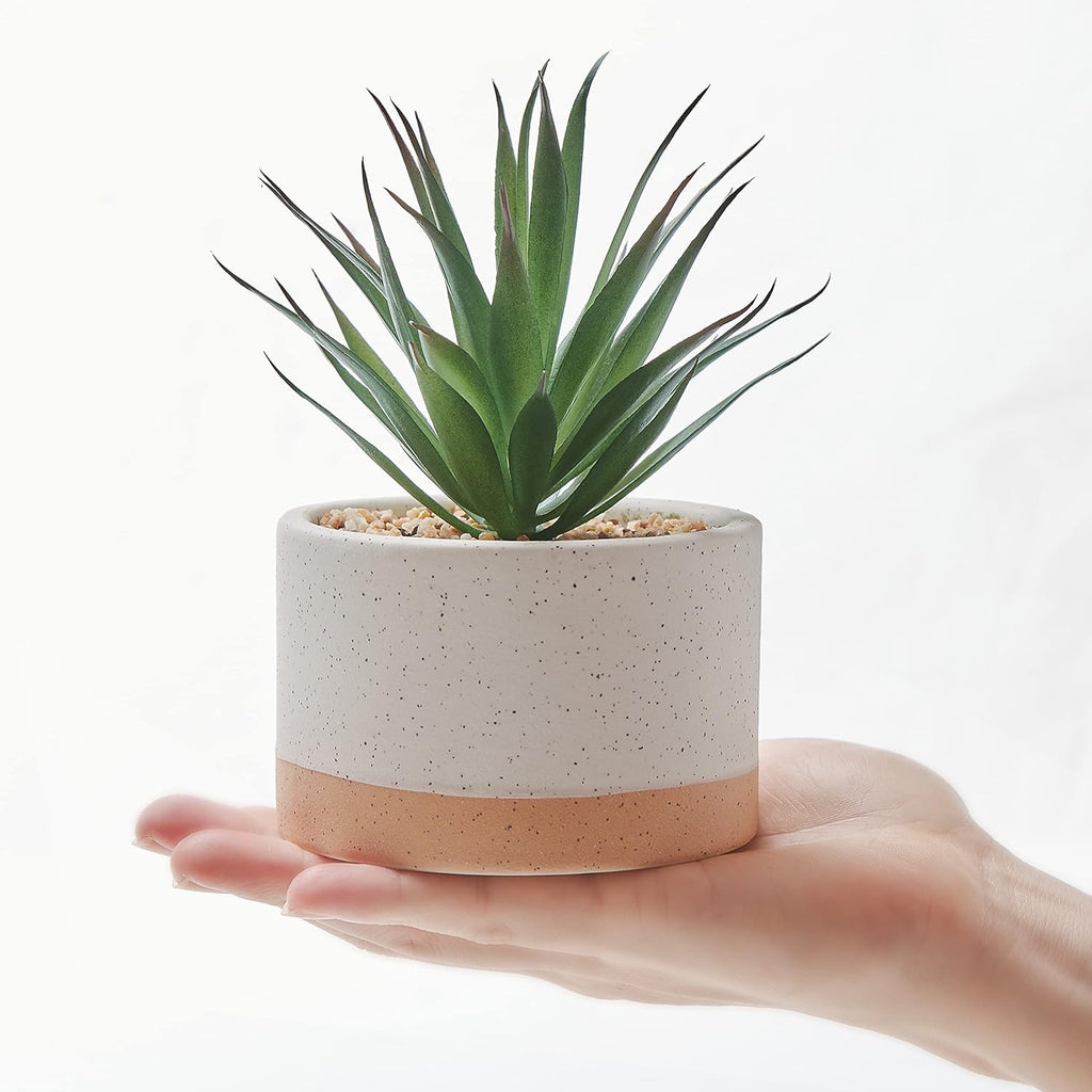 Artificial Succulent Plants in Ceramic Pots Set of 3