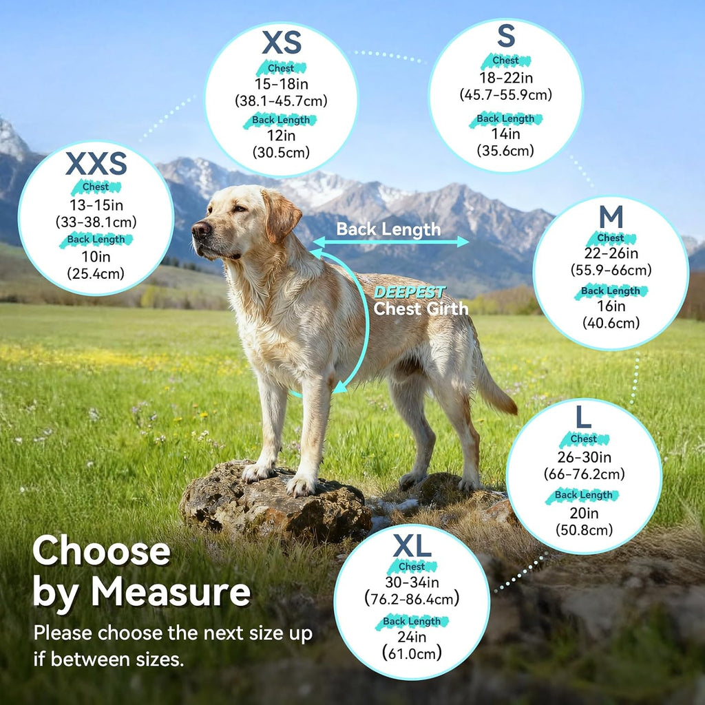 VIVAGLORY Dog Raincoat Wetoff Dog Rain Coat, XL, Blue