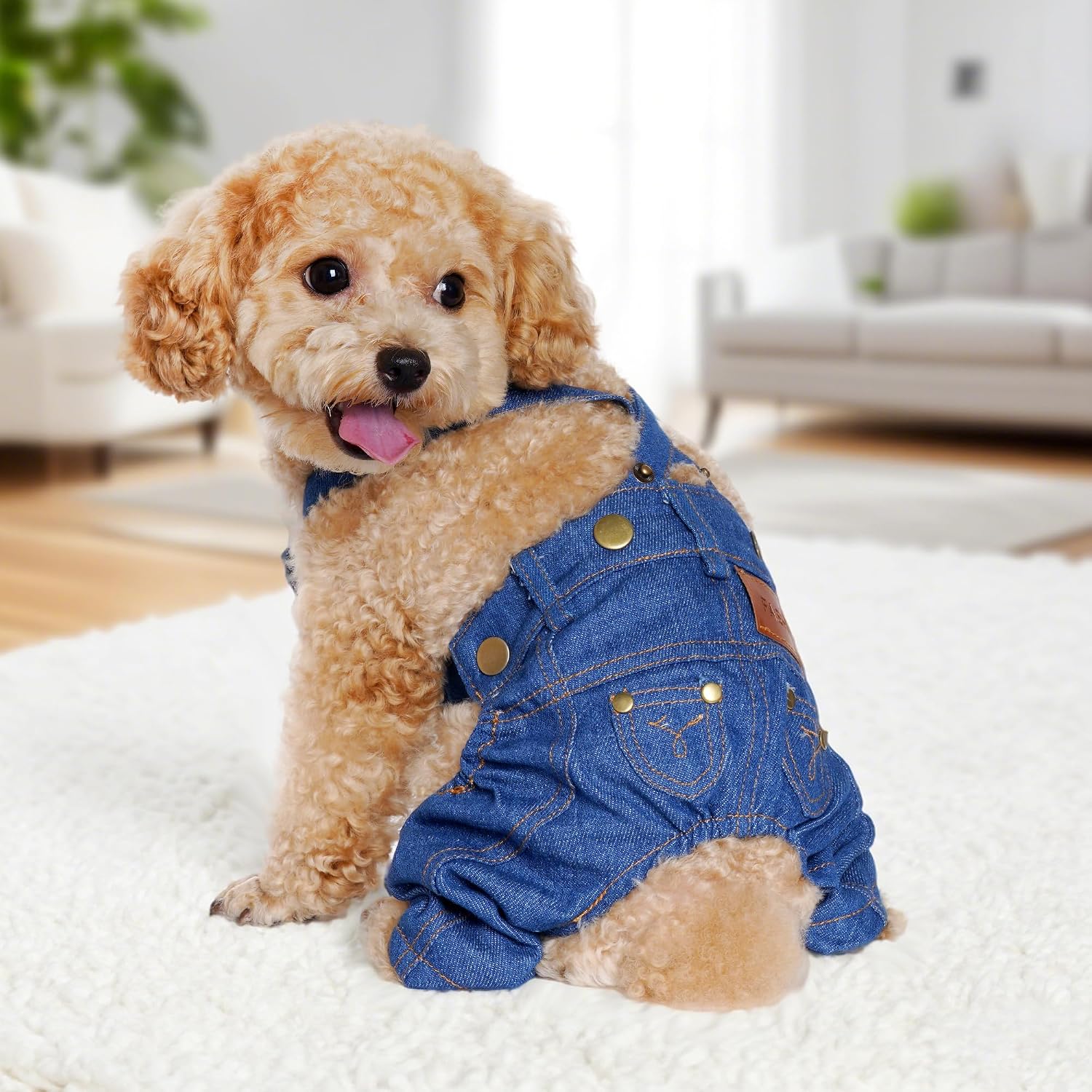 Dog Clothes Denim Overalls Pet Strap Pants for Small Puppy Cat Pets Jean Jacket Sling Jumpsuit Dog Apparel & Accessories (Blue, Small)