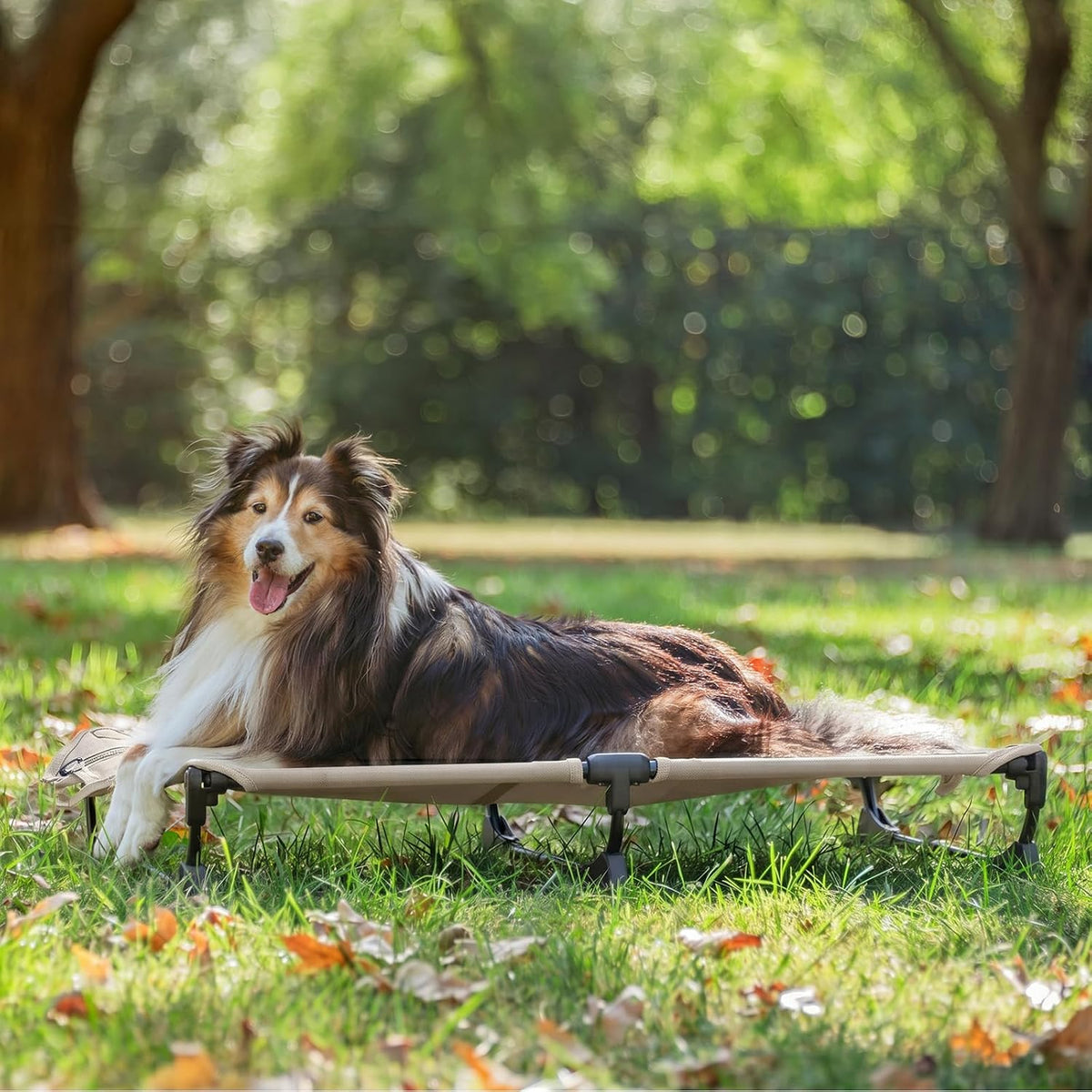 CANINE CANYON Upgraded Non-Slip Daisy Cot, Medium Foldable Elevated Dog Bed, Portable Raised Outdoor Folding Dog Cot for Camping/Home, Chew Proof Waterproof Heavy Duty Up to 160 Lbs, Brown, 32"x 23"