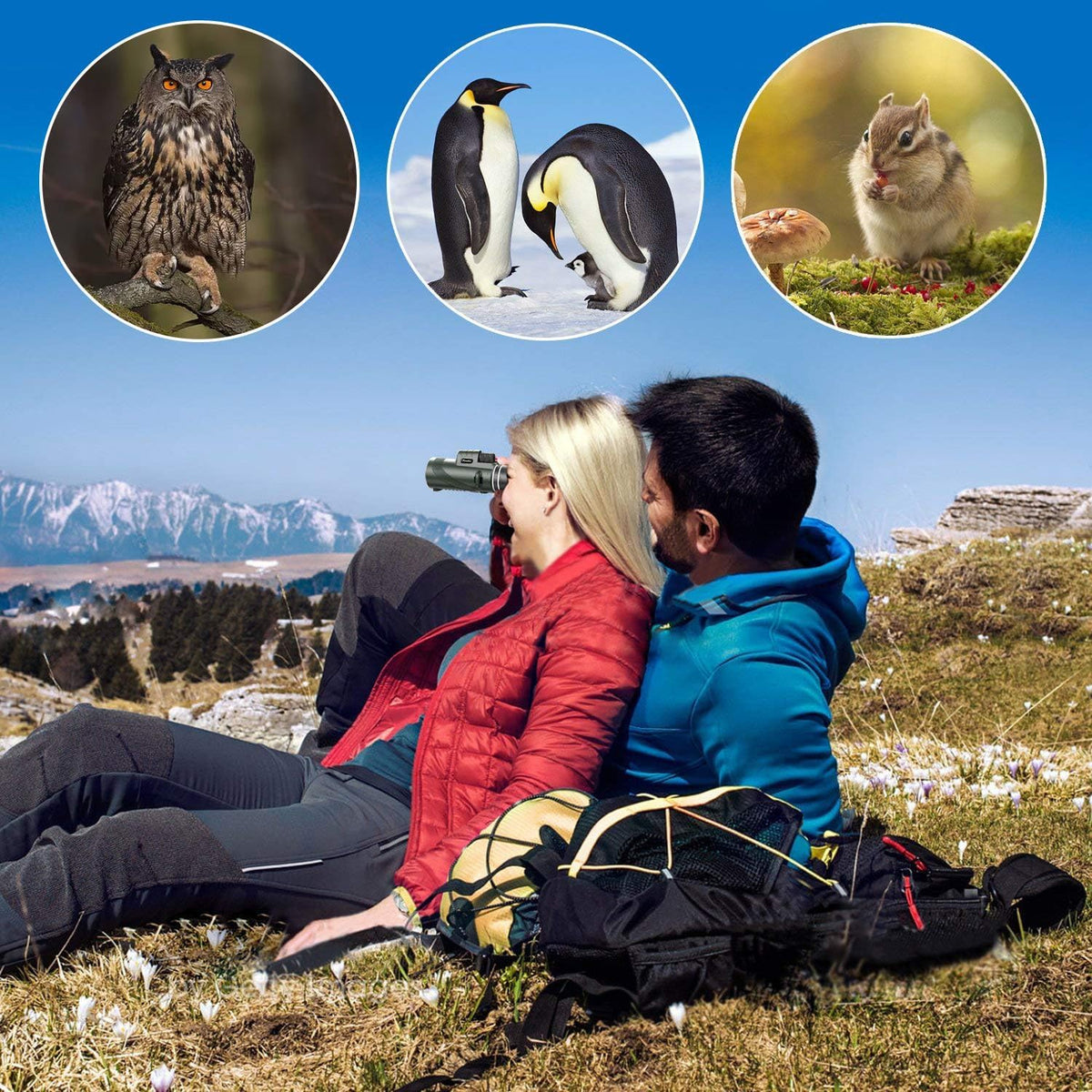 40X60 Monocular Telescope, High Power Monocular for Adults with Phone Adapter & Tripod & Hand Strap, Equipped with BAK4 Prism for Bird Watching