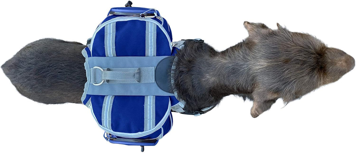 Saddlebag Back Pack & Harness Combo for Dogs 30-100+ lbs. Perfect for Travel, Trail Hiking, & Camping. Reflective, Lightweight, & Comfortable. Comes with Two Collapsible Bowls (Large, Blue)