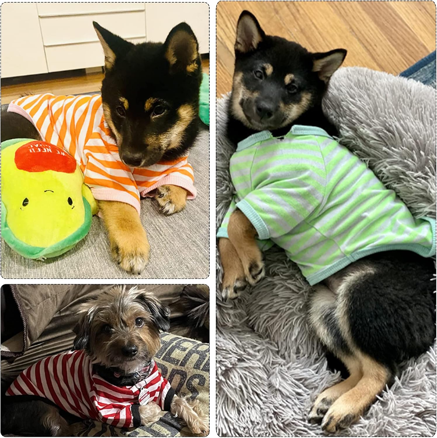Geyoga 6 Pieces Dog T-Shirt Striped Cotton Breathable Spring Summer Pet Apparel Colorful Soft Puppy Sweatshirt Clothes for Small to Medium Dogs Puppy(Light Color,S)