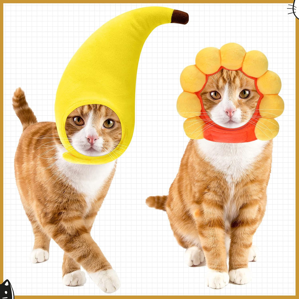 Weewooday 5 Pcs Cat Hat, Lion, Frog, Rabbit, Sunflower, Banana