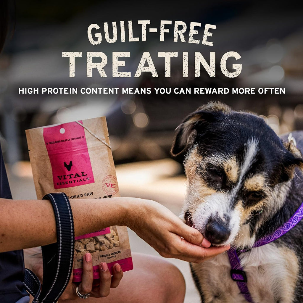 Vital Essentials Freeze Dried Dog Treats, Salmon Bites, 2.5 oz Bag
