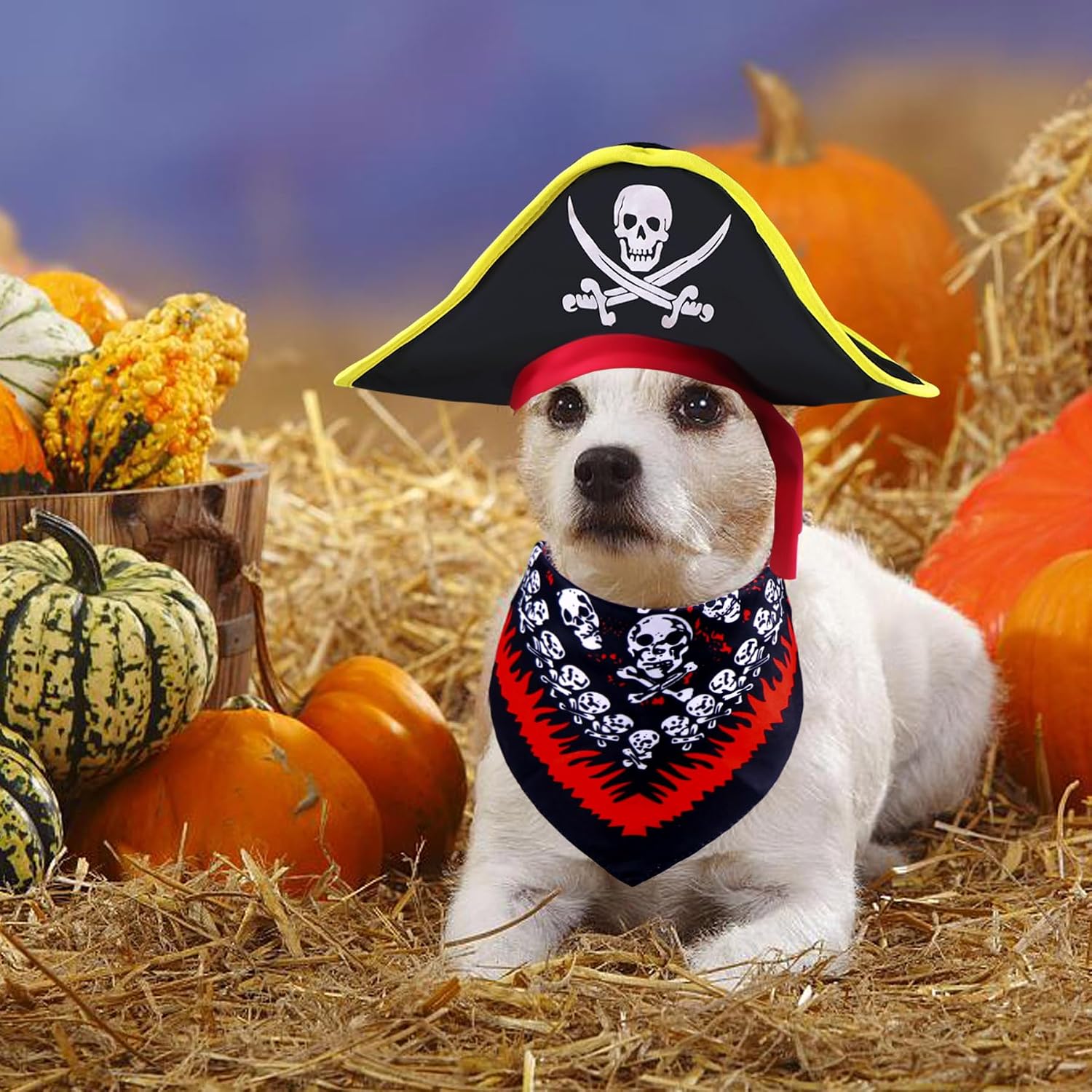 GOYOSWA Dog Pirate Costume, Dog Halloween Costumes Pirate Hat and Bandana Set Holiday Outfit Clothes for Small Medium Large Dogs Pets (Style A, Large)