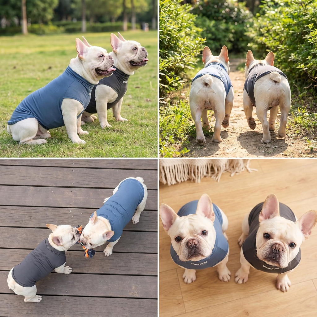 Spark Paws Sunblock Dog T-Shirt, SPF 30 UV Sun Protection, Summer Cooling