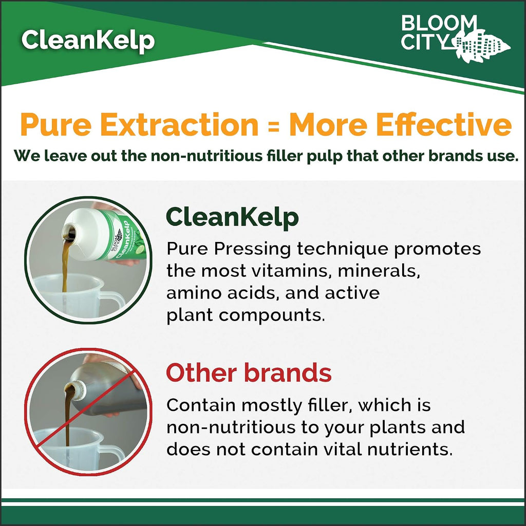 Bloom City Seaweed and Kelp Liquid Fertilizer for Plants, 32 oz