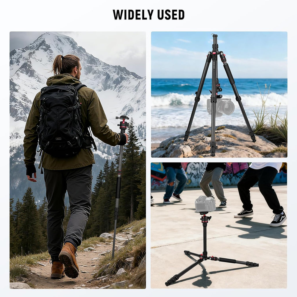 NEEWER Basics Carbon Fiber Travel Tripod Monopod, 64" Compact Lightweight Portable Camera Cell Phone Holder Stand Compatible with iPhone Video Recording, Arca Type Ball Head, Max Load 13.2 lbs, TP17B