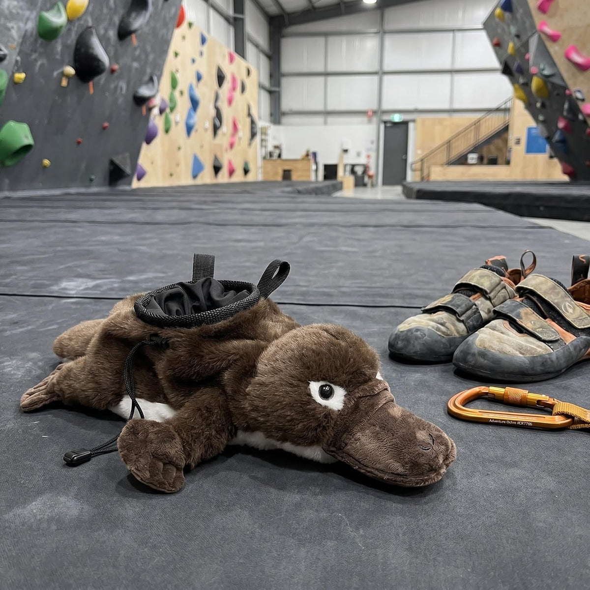 Platypus Climbing Chalk Bag, Cute Plush Animal Chalk Bag with Drawstring Closure & Adjustable Belt Loops, Chalk Bag for Rock Climbing Bouldering, Unique Climbing Gear Gift for Climbers
