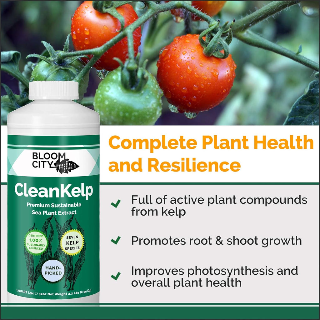 Bloom City Seaweed and Kelp Liquid Fertilizer for Plants, 32 oz