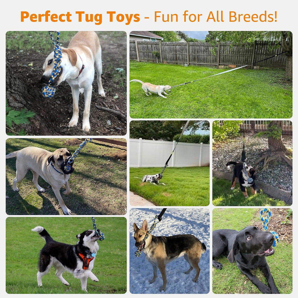 LOOBANI Outdoor Bungee Tug Toy, Interactive Tree Hanging Dog Toys, Black