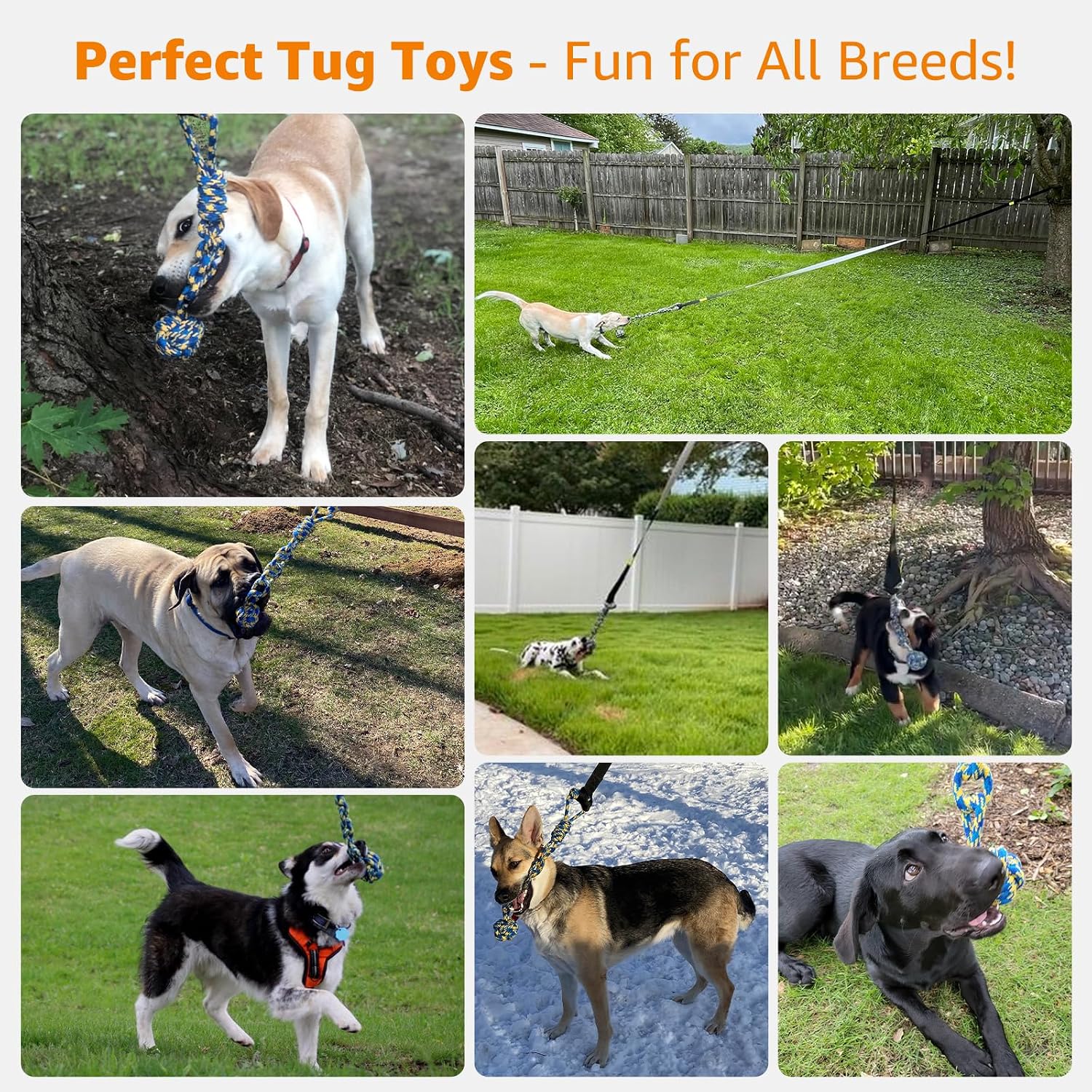 LOOBANI Outdoor Bungee Tug Toy, Interactive Tree Hanging Dog Toys, Black
