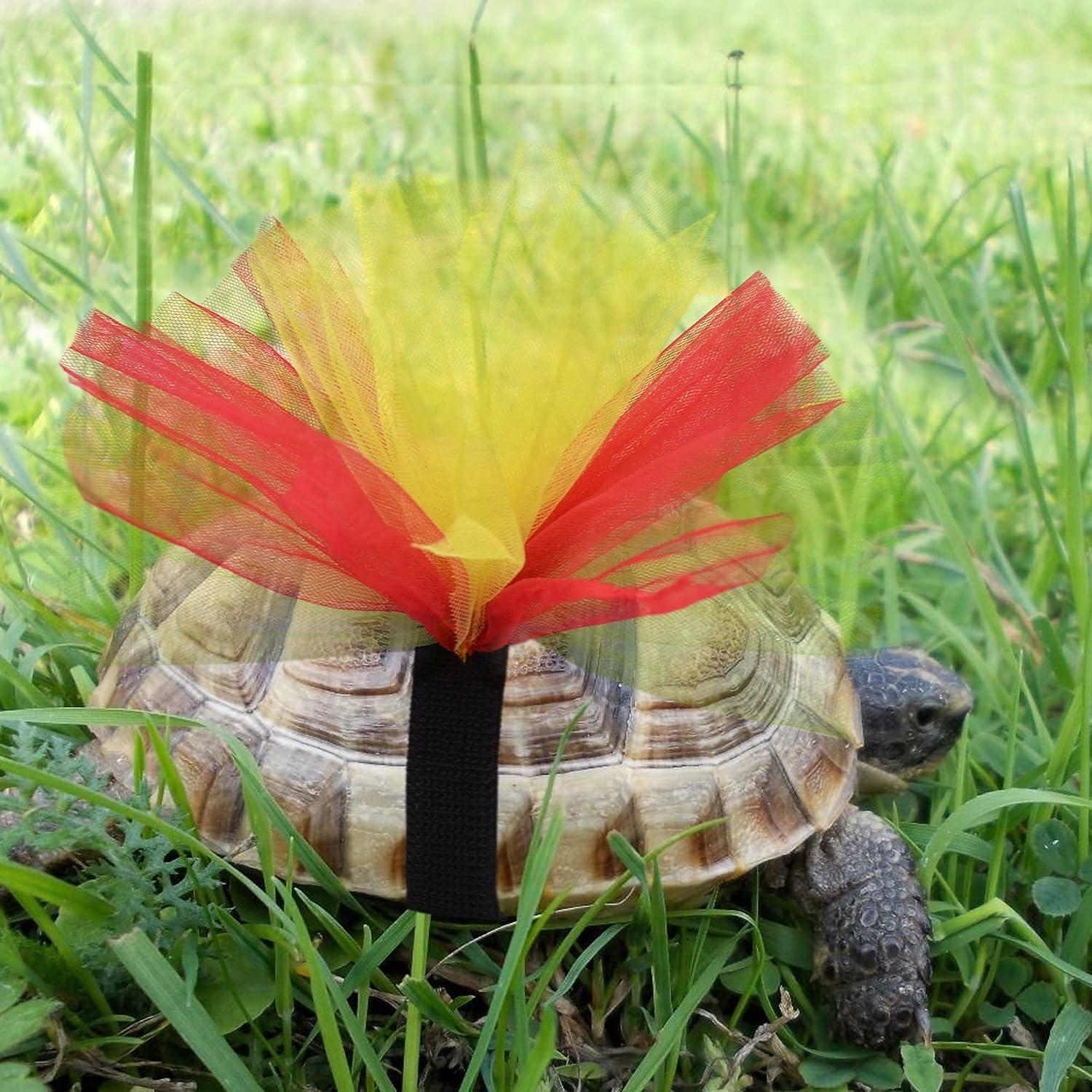 Tortoise Tutu Costume for Pet Tortoise Turtle Decoration Creative Gift
