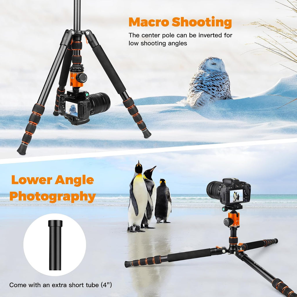 Victiv Camera Tripod, 80" Ball Head Tripod with Carry Bag & Phone Holder