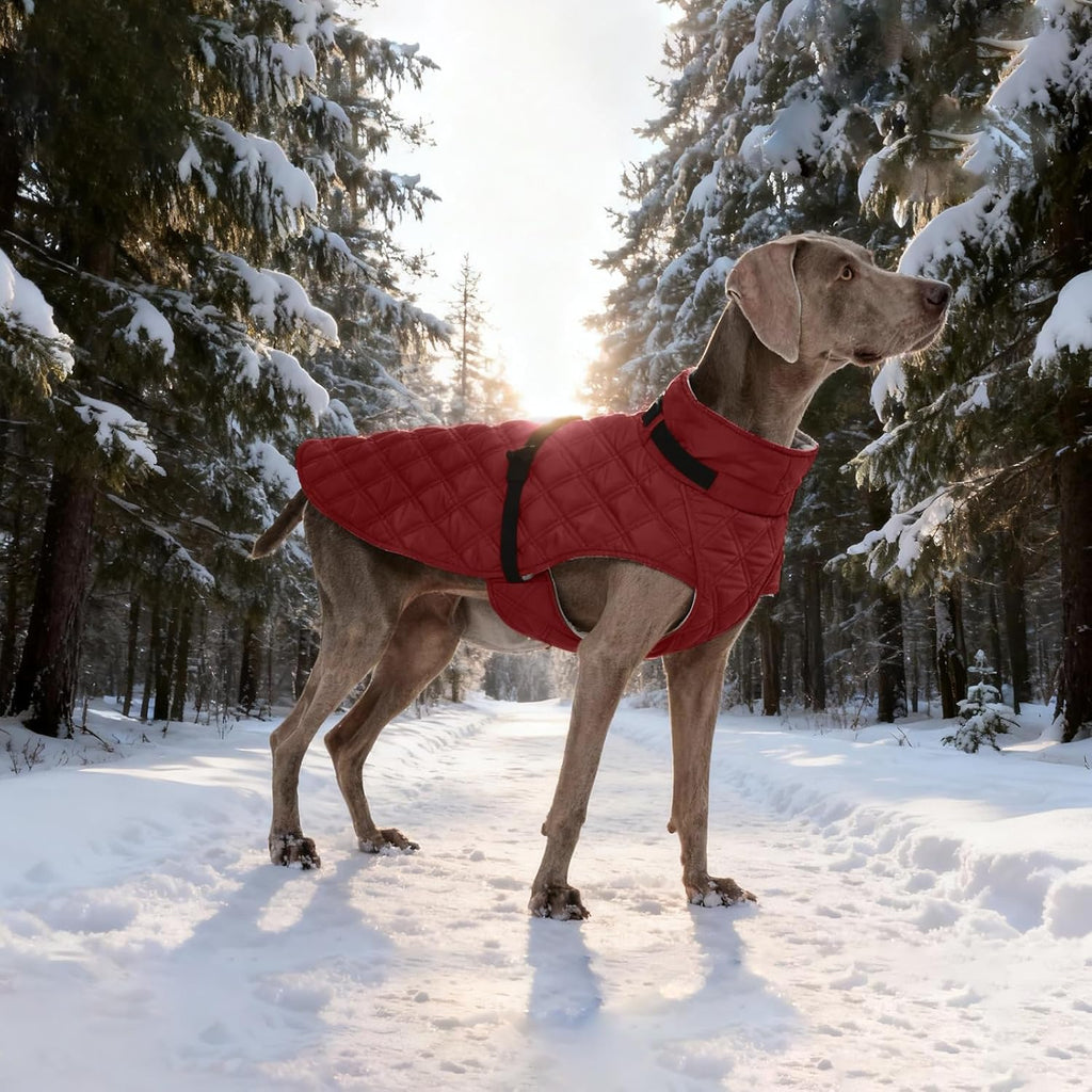Kuoser Dog Coat Warm Fleece Lining Turtleneck Dog Jacket with Harness Built-in, Adjustable Windproof Cold Weather Coats with Quick Release Buckle Pet Winter Snowsuit for Medium Large Dogs, Red L
