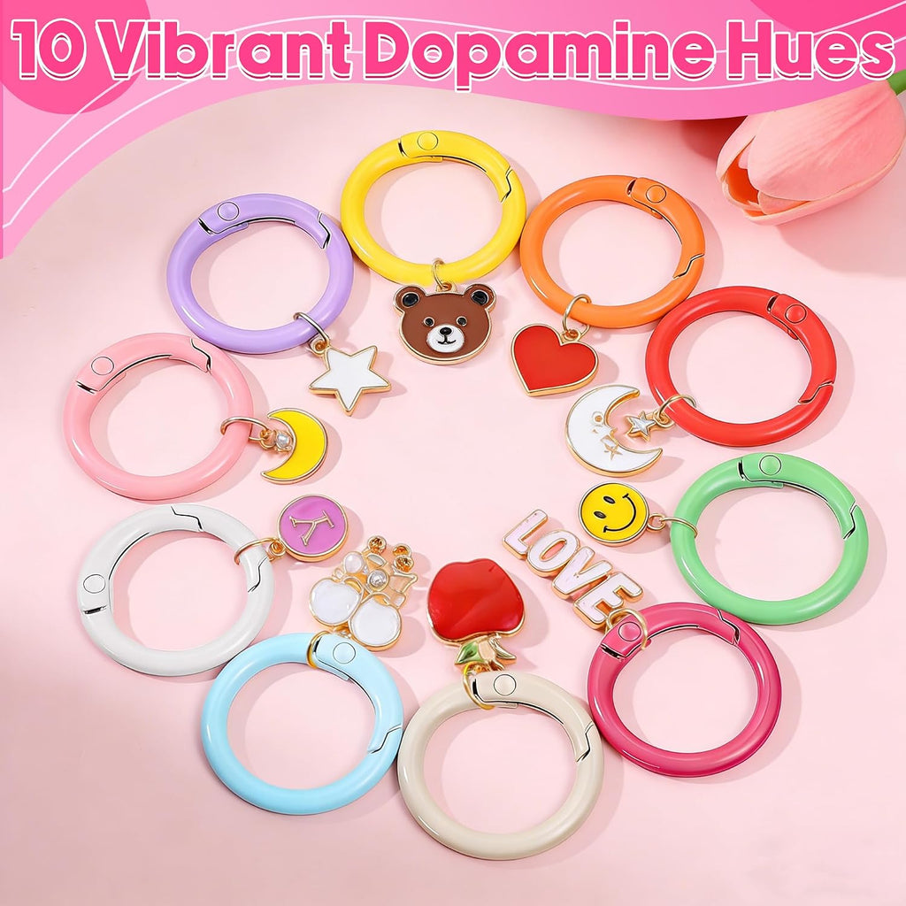 100 Pcs Round Carabiner Keychain Rings Bulk-10 Colors Metal Key Ring Clips Spring O Rings for DIY Keychain Making Supplies, Purse Bag Charms, Lanyard, Crafts (0.9 Inch, Assorted Colors)