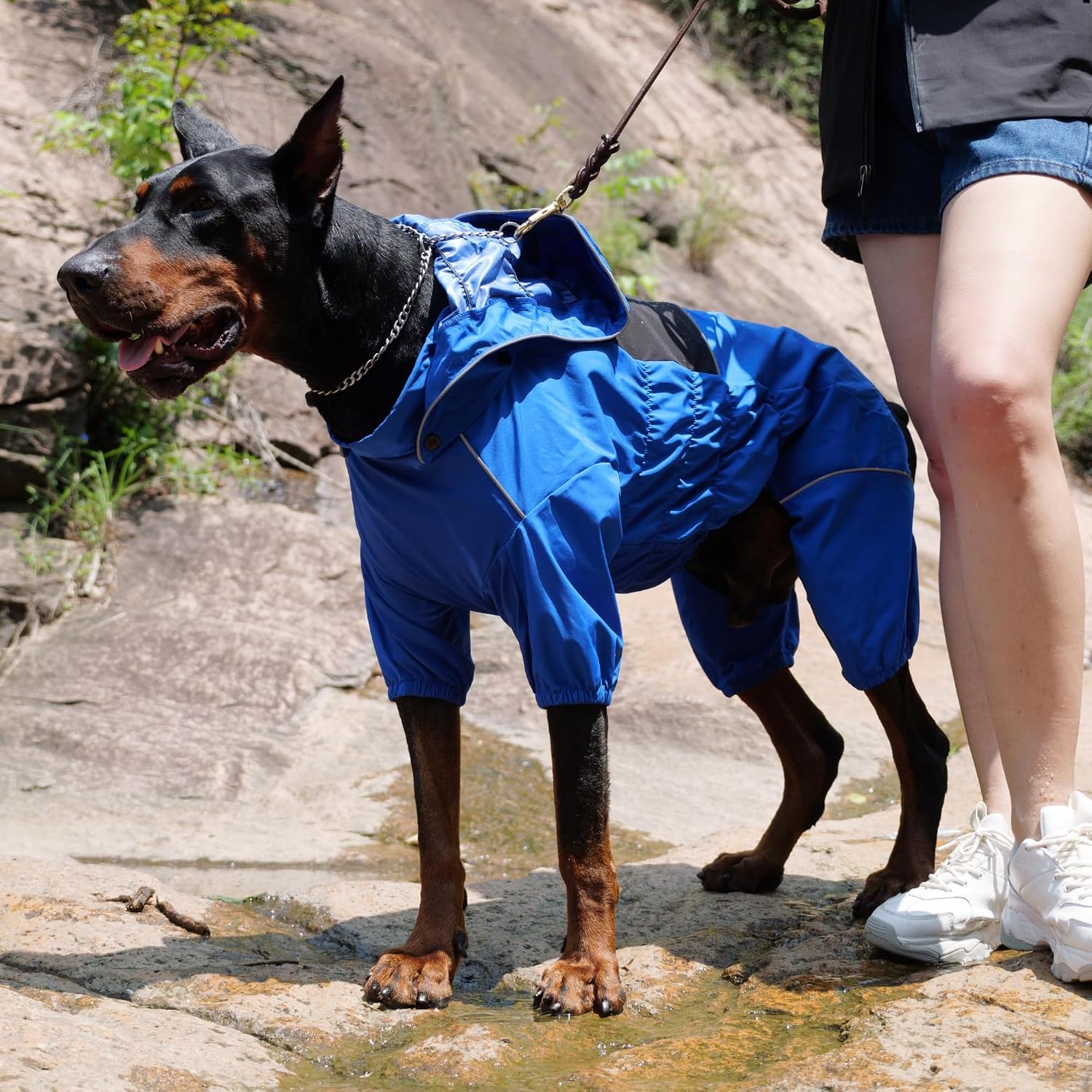 LOVELONGLONG Waterproof Dog Raincoat with Removable Hood – Outdoor Full Body Dog Jacket, Windproof Snowproof Shell Suit – All Season Pet Rain Gear Blue 3XL