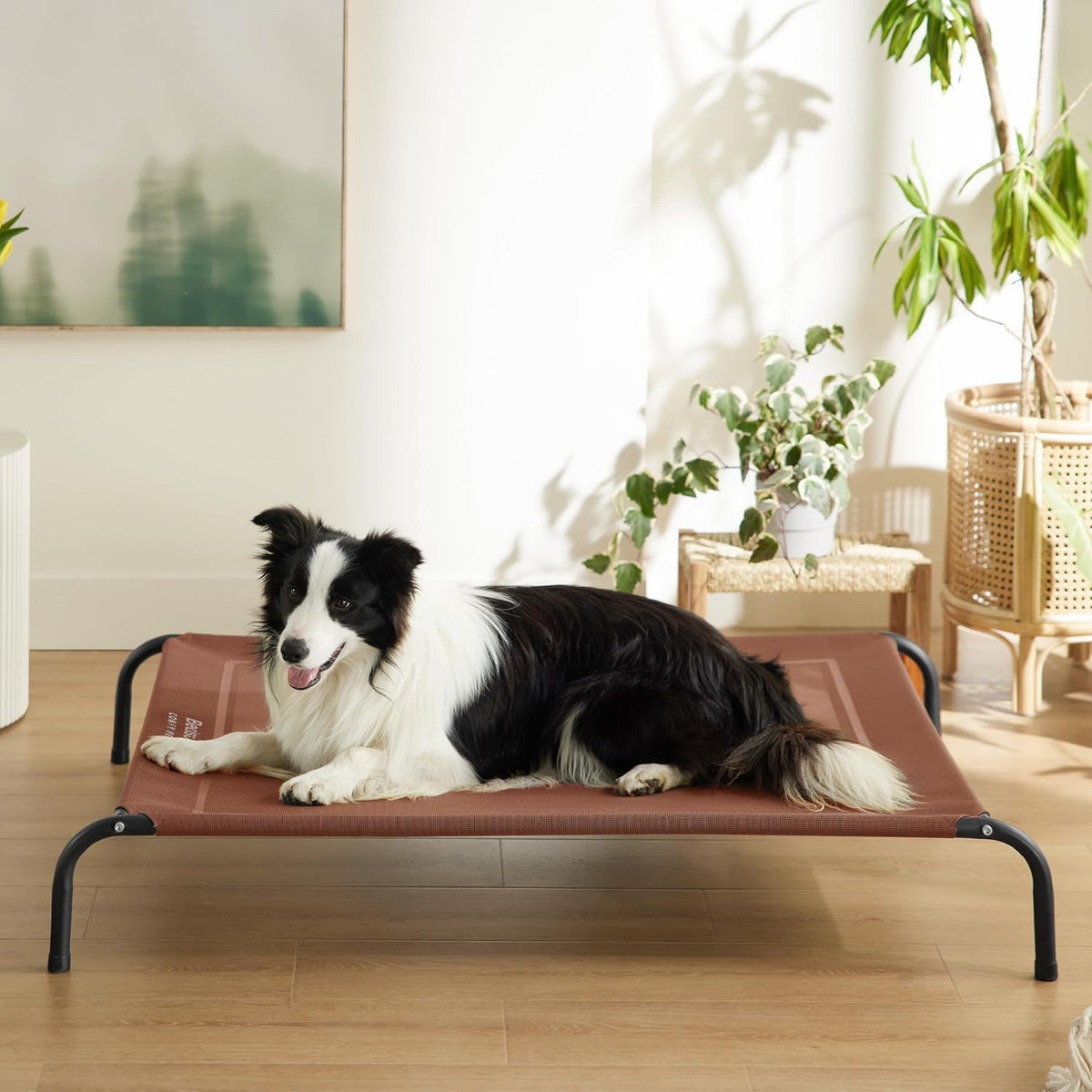 Bedsure Outdoor Elevated Cooling Dog Bed Large Sized Dog, 49in Terracotta