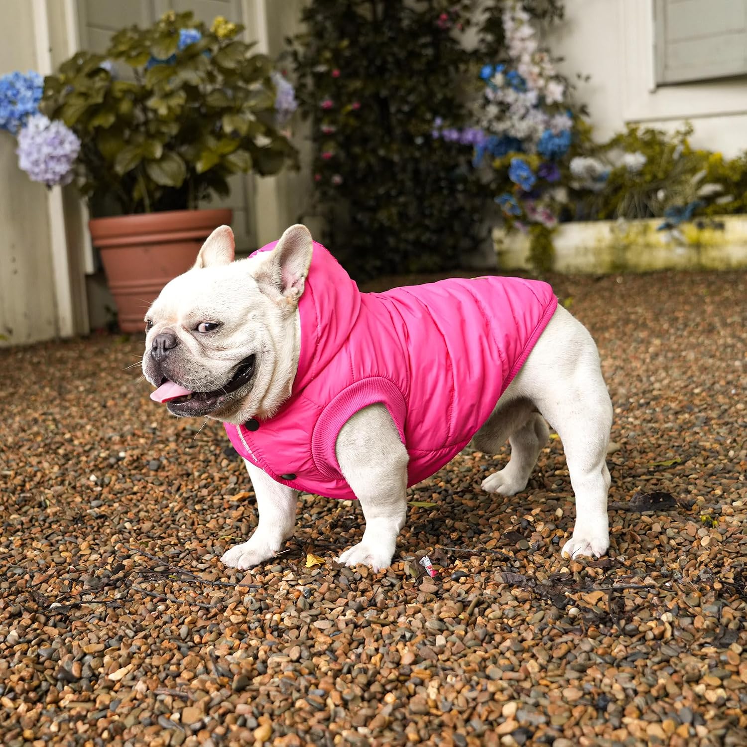 Vecomfy Warm Dog Coats with Hoodie,Winter Dog Jackets for Large Dogs