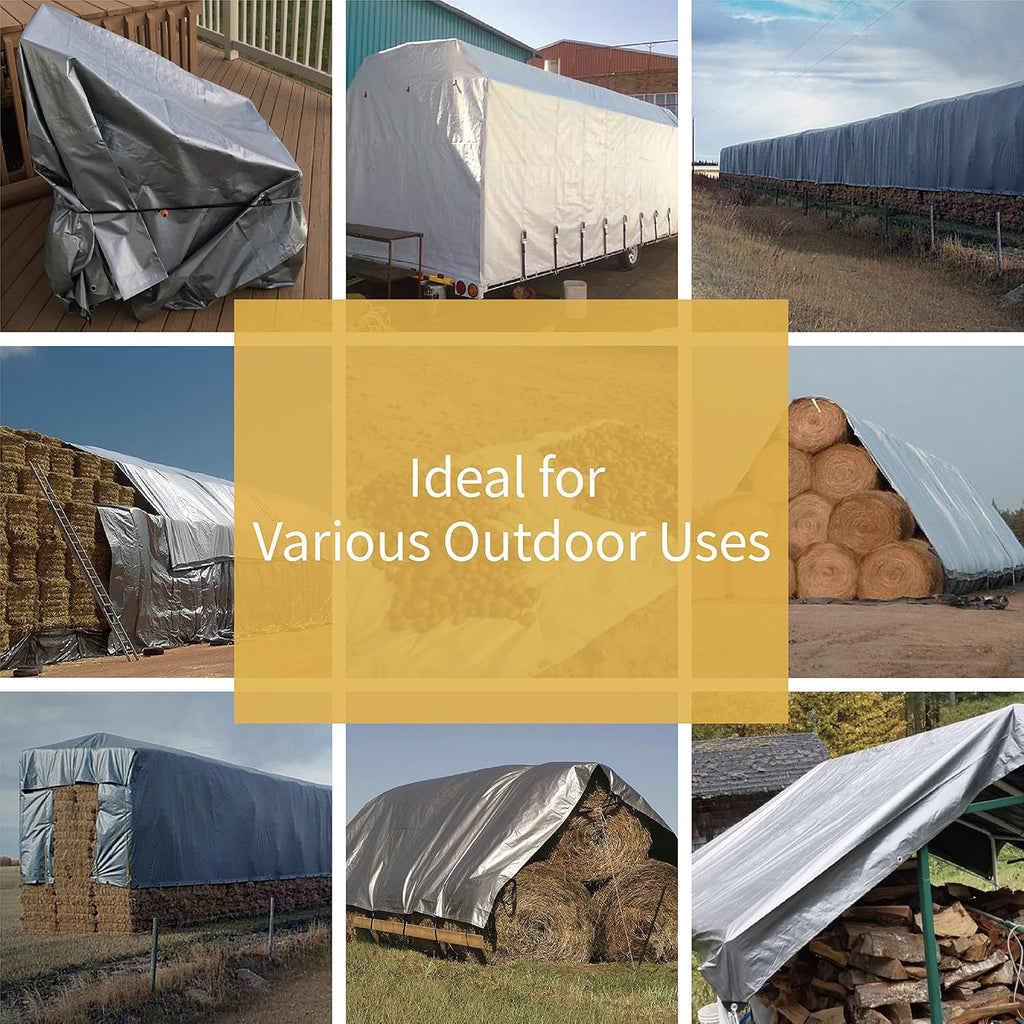 GUARD SHIELD Heavy Duty Tarp 6x8 Feet Silver Multi Purpose Thick Waterproof Poly Tarp Cover 10mil