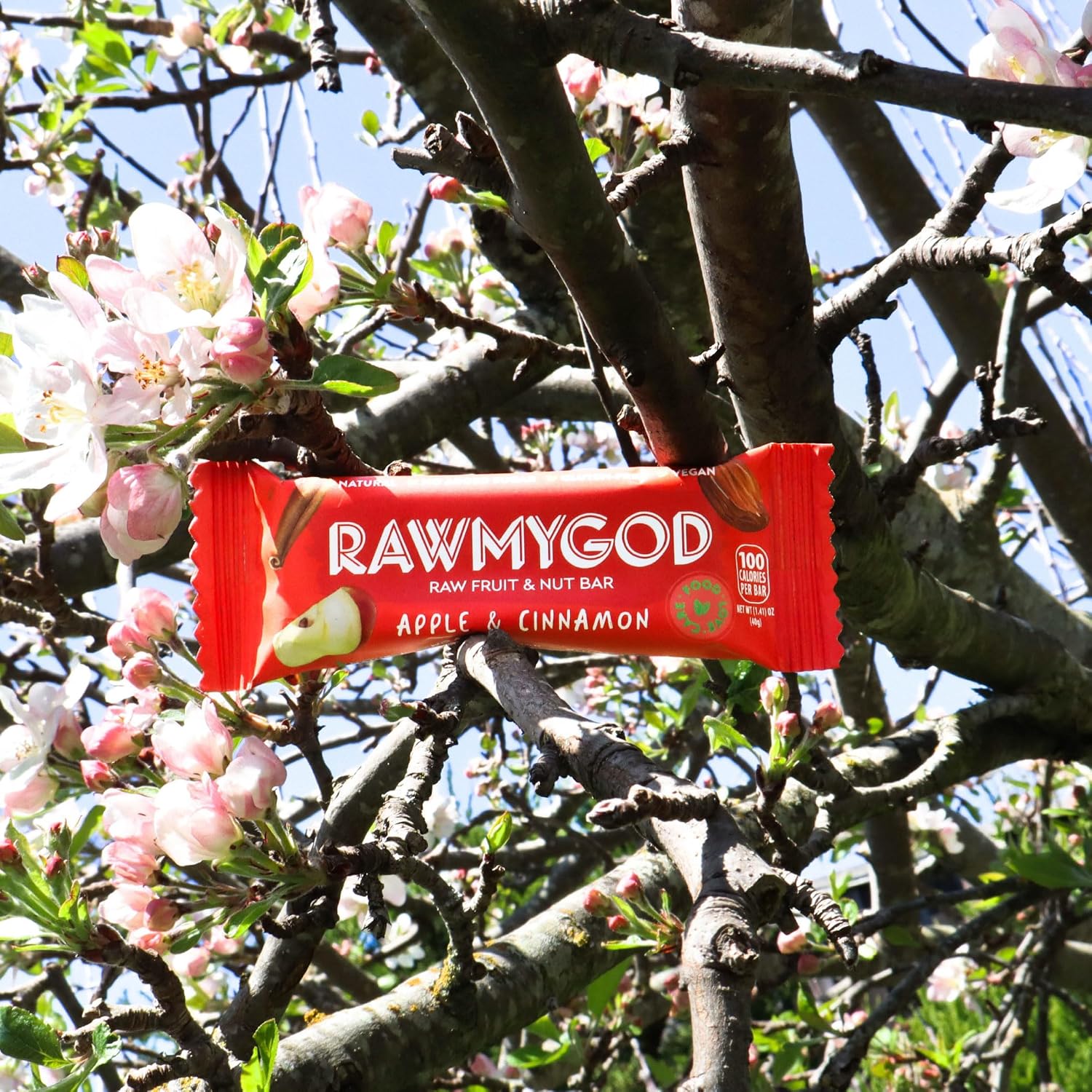 RAWMYGOD Fruit and Nut Bars, Gluten Free, Vegan, No Added Sugar (16 bars, Apple & Cinnamon)