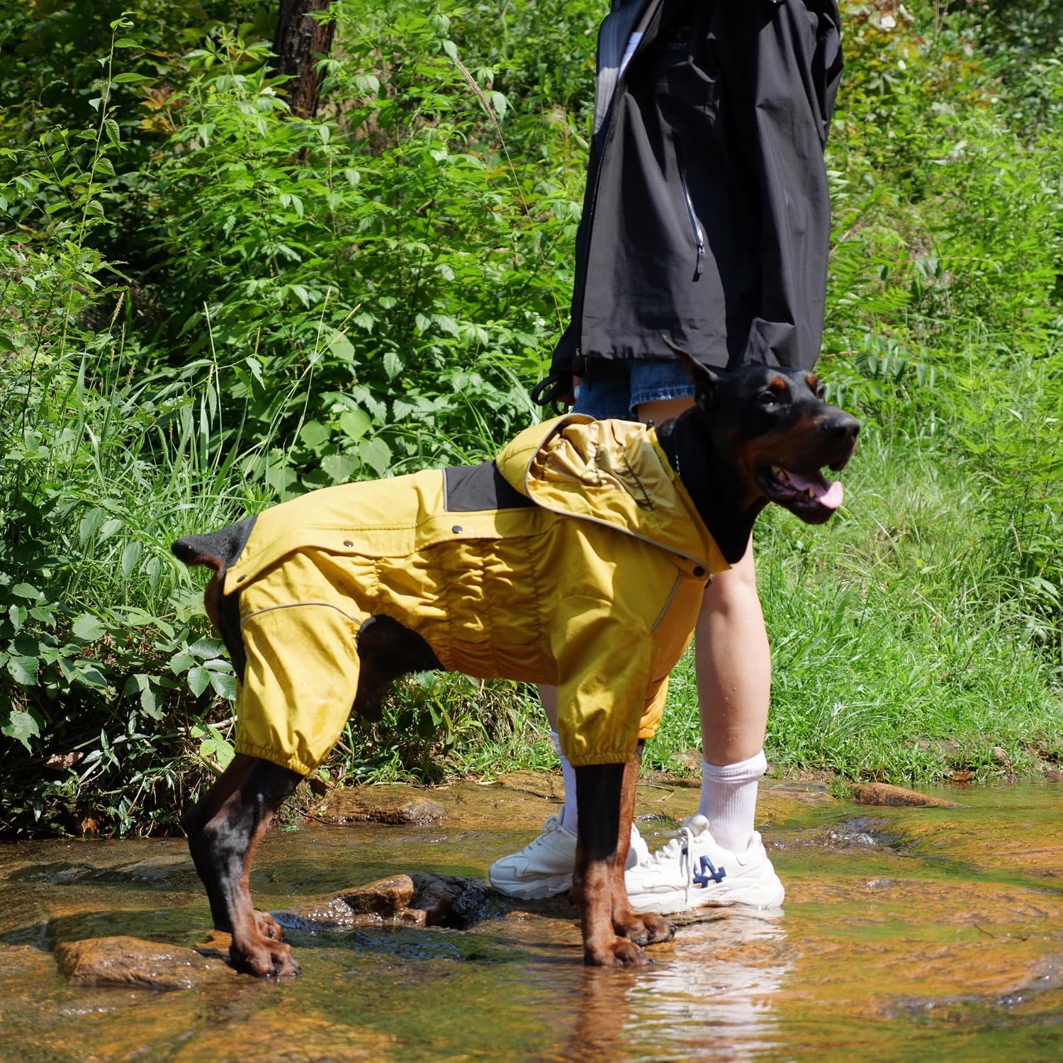 LOVELONGLONG Waterproof Dog Raincoat with Removable Hood – Outdoor Full Body Dog Jacket, Windproof Snowproof Shell Suit – All Season Pet Rain Gear Mustard Yellow 3XL