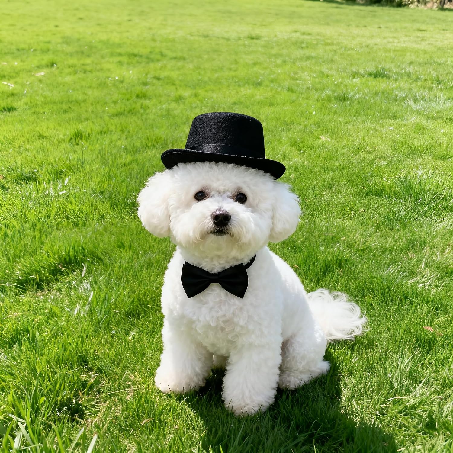 Qiansail 2Pcs Pet Formal Accessories Set Wedding Dog Top Hat with Bowtie Cat Tuxedo Necktie Costumes for Halloween Birthday Party, Polyester, Black