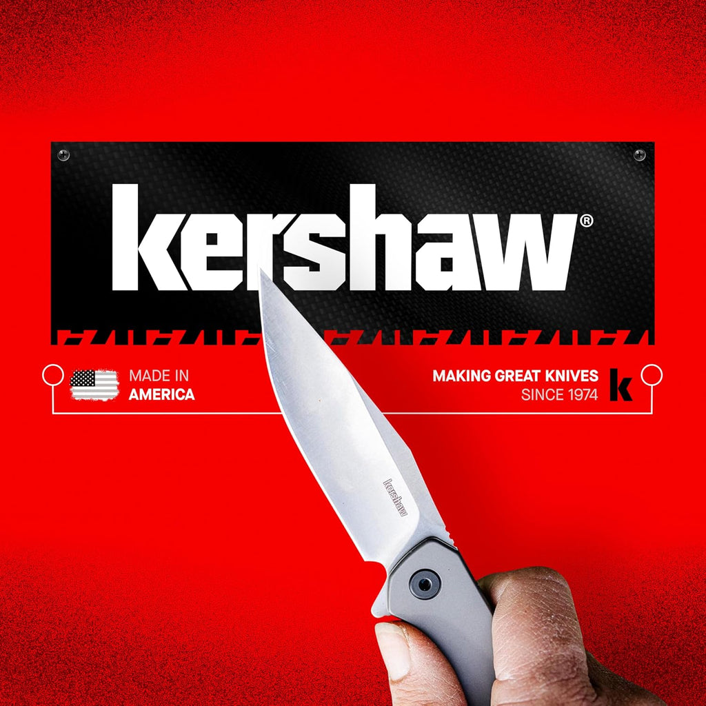Kershaw Leek, BlackWash Pocket Knife (1660BLKW); 3 Sandvik 14C28N Steel Blade, 410 Stainless Steel Handle, BlackWash Finish, SpeedSafe Assisted Open, Frame and Tip Locks, Reversible Pocketclip; 3 OZ