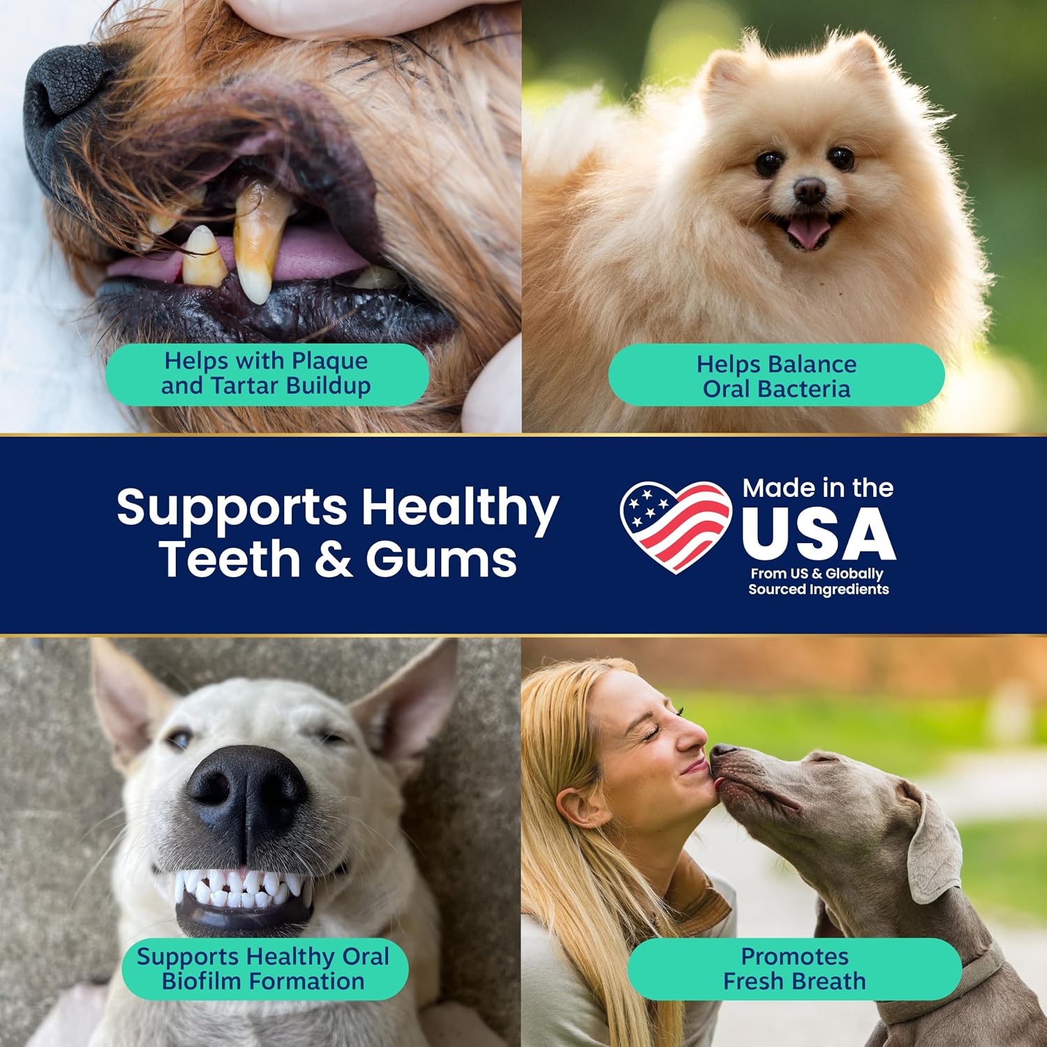 Solid Gold SeaMeal Dog Dental Powder – Plaque & Tartar Control, All Breeds