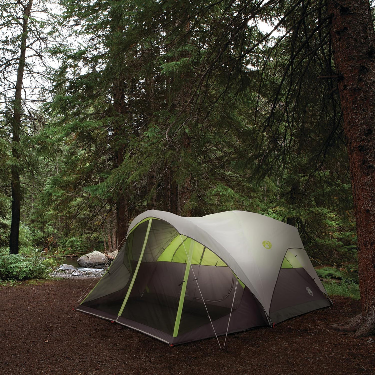 Coleman Steel Creek 6-Person Tent with Screened Porch & Integrated Rainfly, Weatherproof Tent with Screen Room Sets Up in Minutes, Fits Queen-Size Airbed