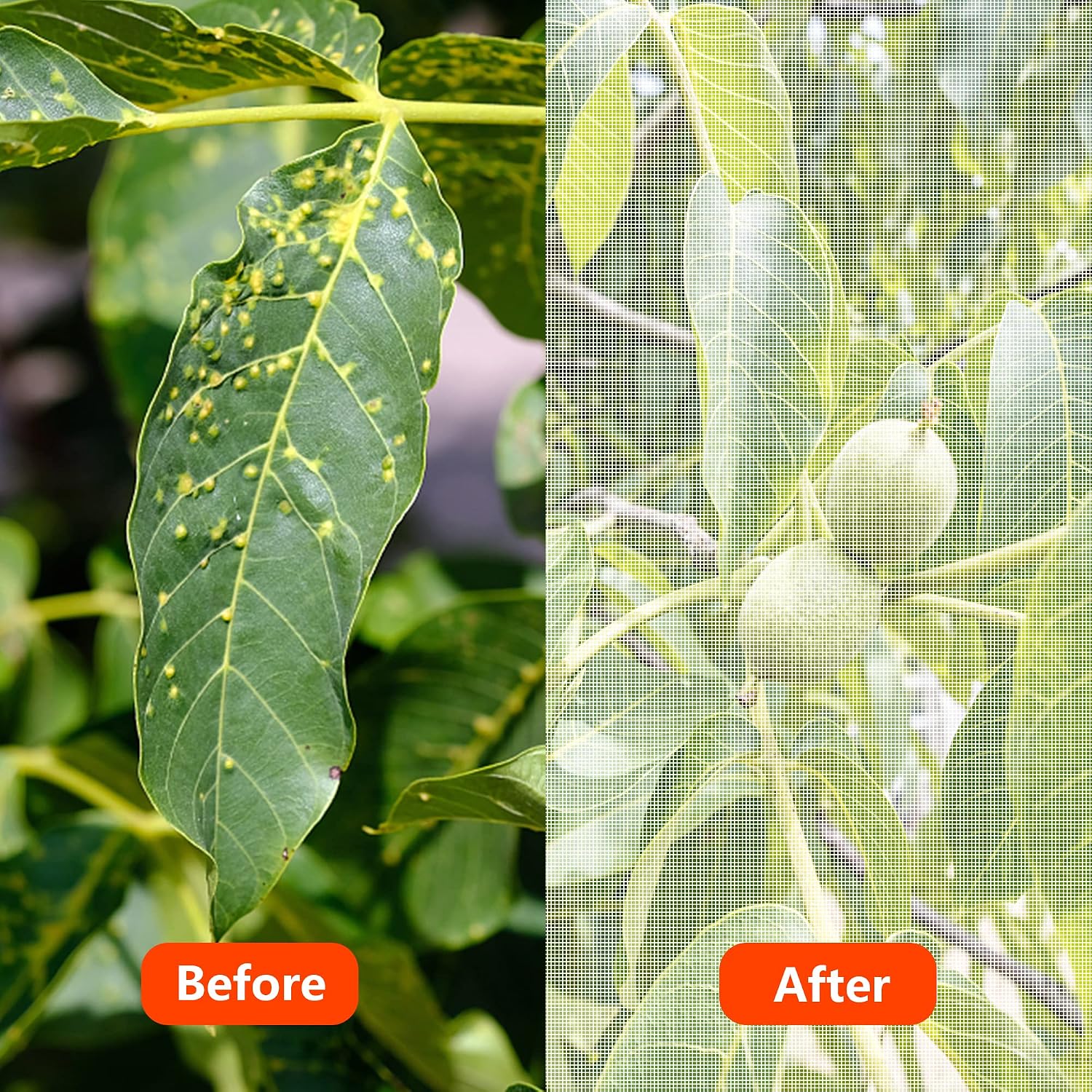 Alpurple Insect Bird Barrier Netting Mesh- 20 x 10 Feet Garden Bug Netting Plant Cover for Protect Plant Fruits Flower from Insect Bird Eating
