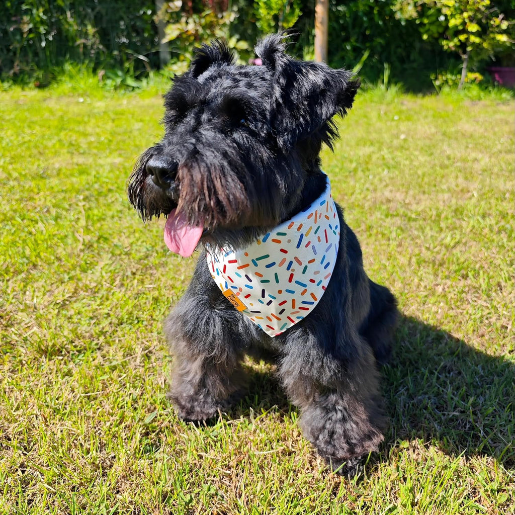 Dog Birthday Bandana, Reversible Soft Breathable Adjustable Pet Scarf for Medium & Large Dogs, Party Photo Outfit for Boy or Girl, Sprinkle and Stripe, Medium Fits Up to 18"