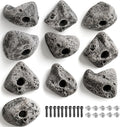 10 PCS Rock Climbing Holds for Rock Climbing Wall Made in USA