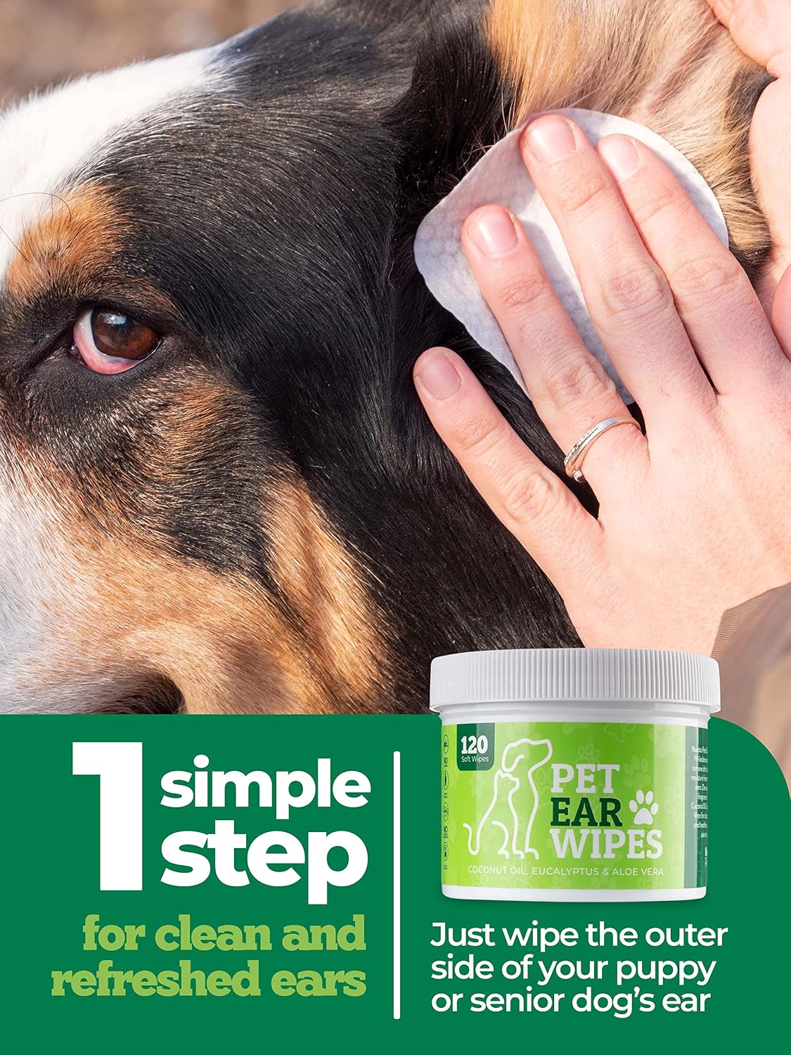 Pet Ear Wipes Dogs Itch Relief 120 Count 1 Pack